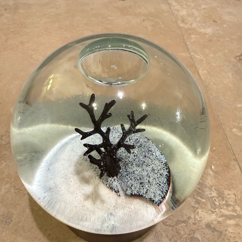 Whimsical West Elm Tree Snow Globe - Picture 2 of 3